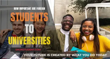 Foreign Students: Vital to Universities' Success