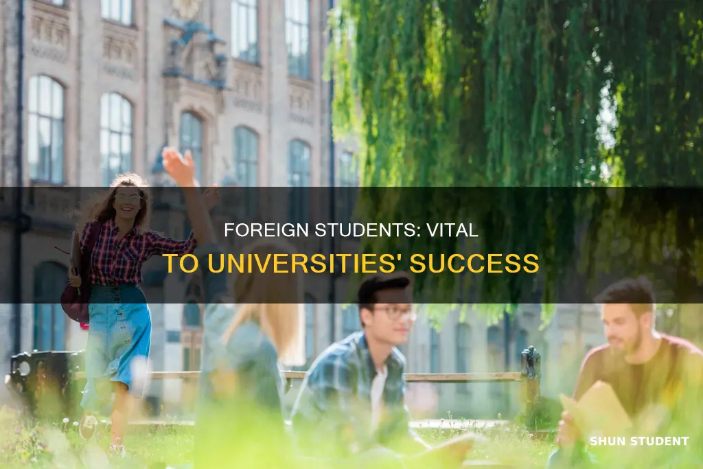 how important are foreign students to universities