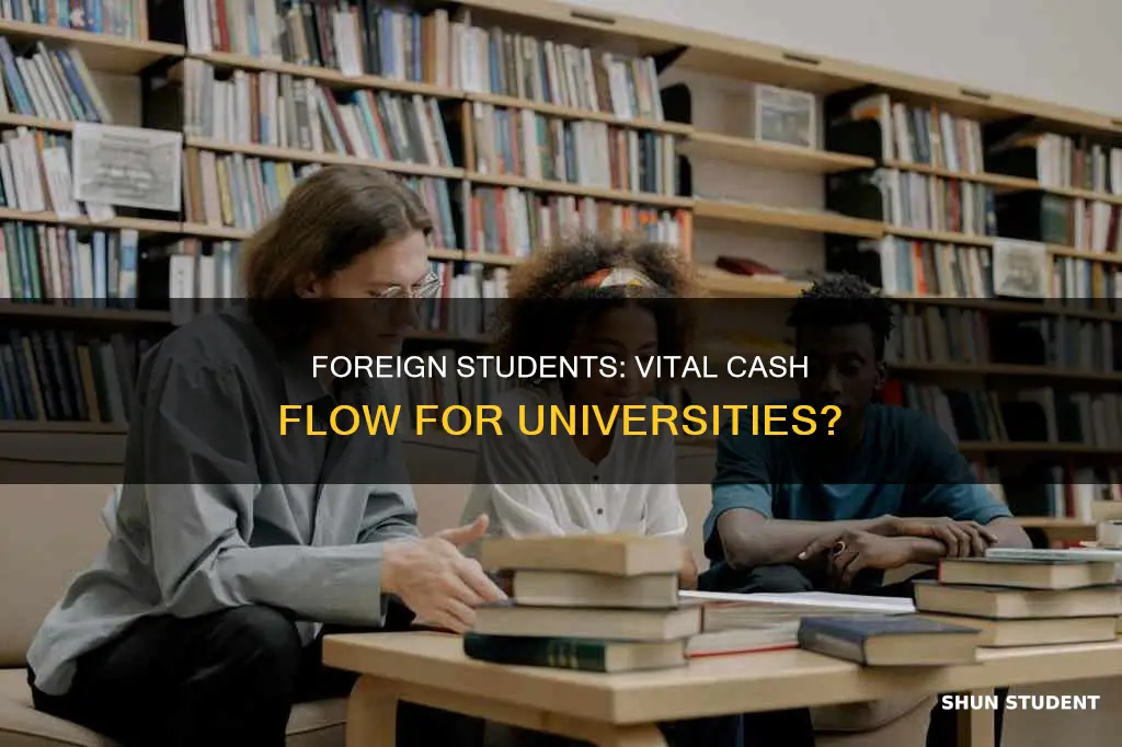 how important are foreign students to university funding