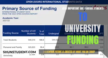Foreign Students: A Key to University Funding?