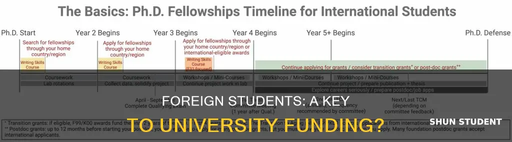 how important are foreign students to university funding