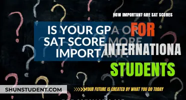 SAT Scores: Weighing International Student Importance