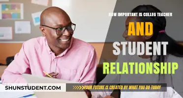 Fostering Connections: The Impact of College Teacher-Student Relationships