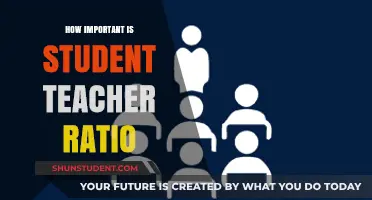 Optimizing Learning: The Impact of Student-Teacher Ratios on Education