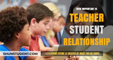 Building Bonds: The Impact of Teacher-Student Relationships on Learning