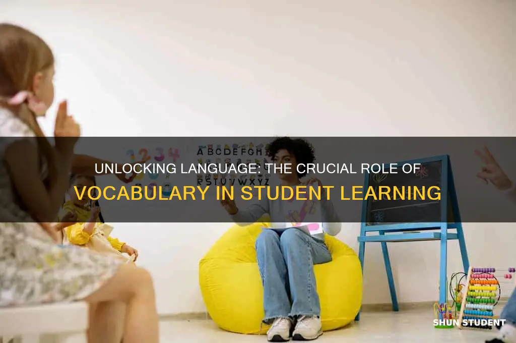 how important is teaching vocabulary to students