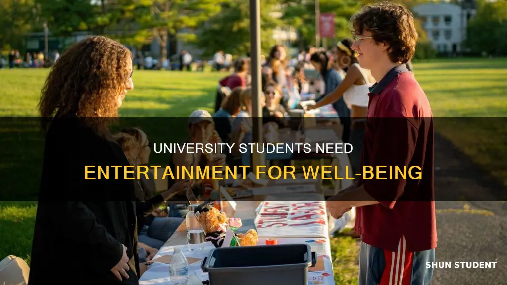 how important it is for university students to have entertainment