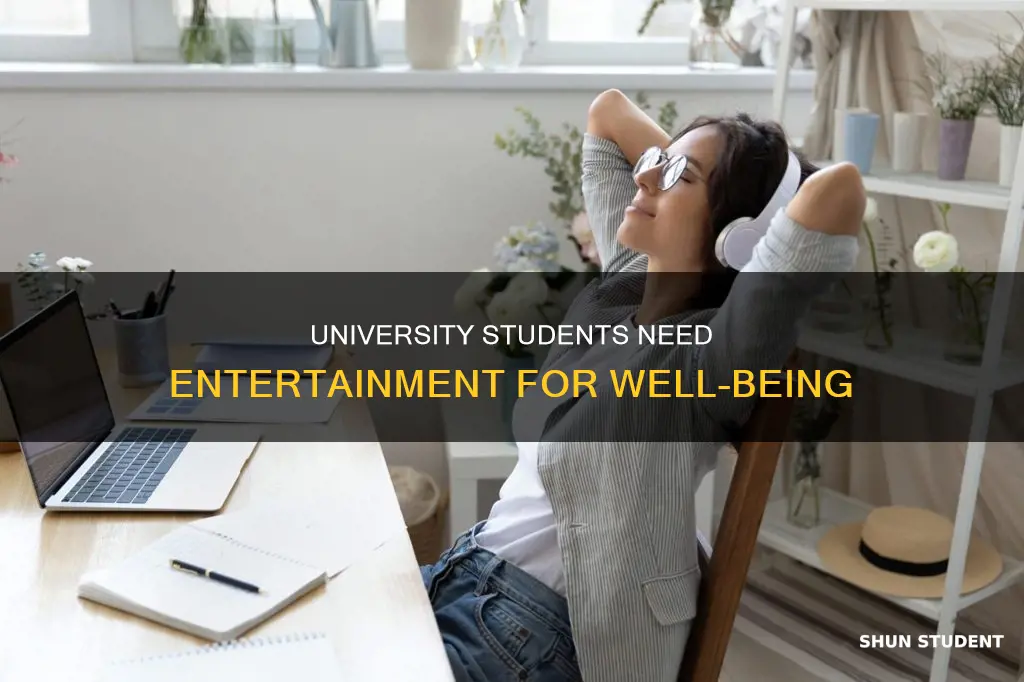 how important it is for university students to have entertainment
