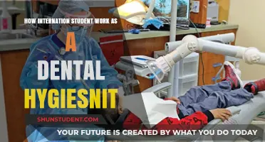 International Dental Hygienists: Their Work and Struggles