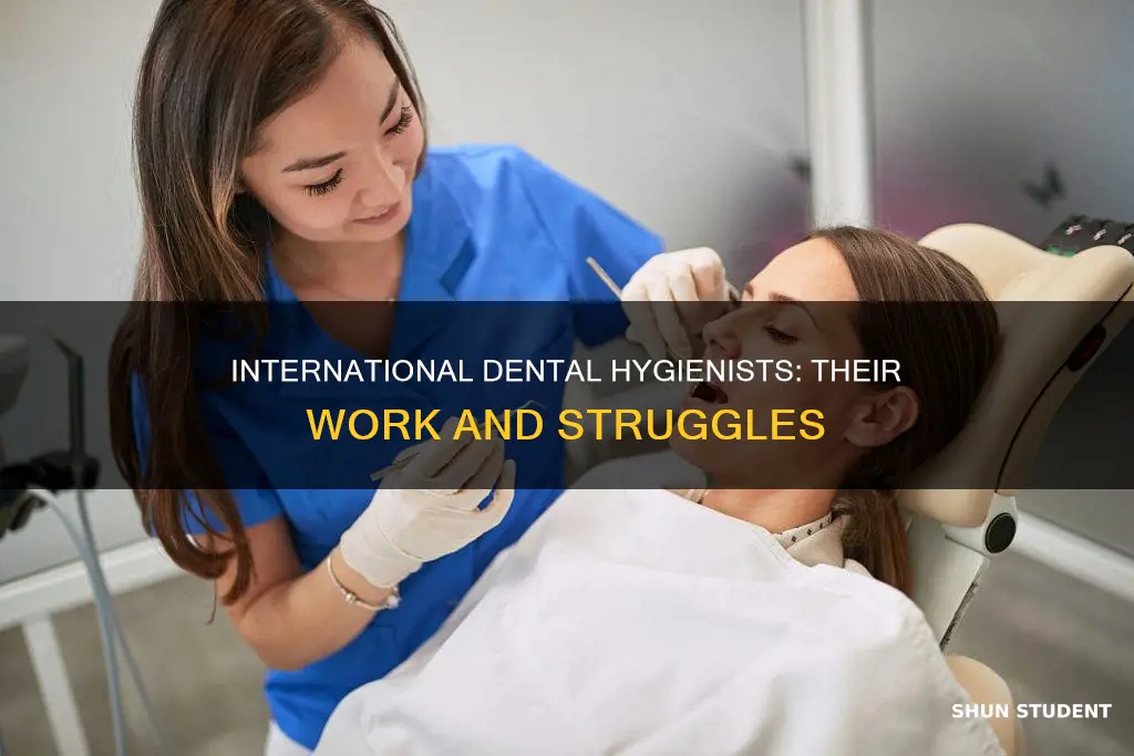 how internation student work as a dental hygiesnit