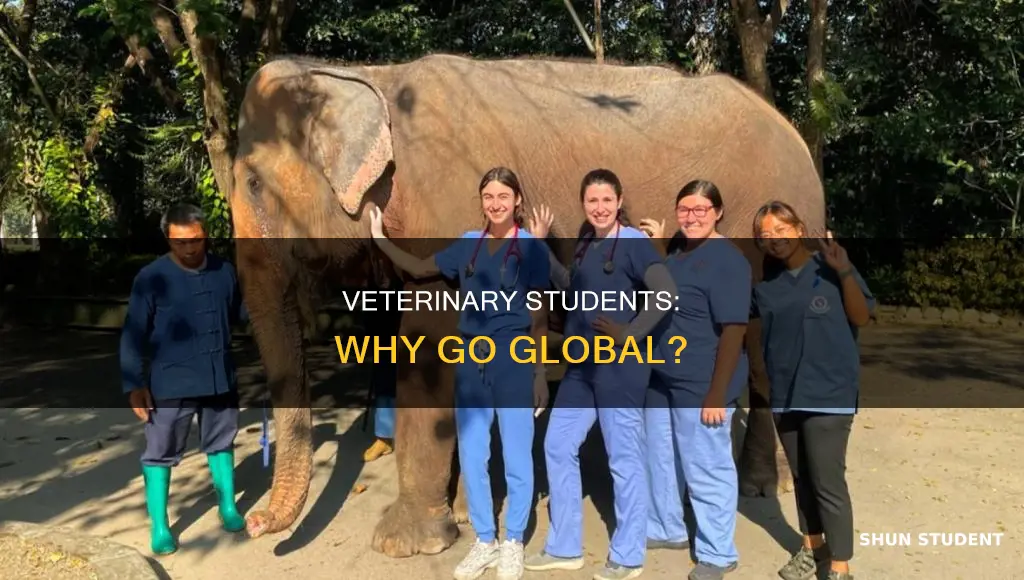 how international experience benefits veterinary students