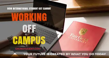 International Students: Off-Campus Work Risks