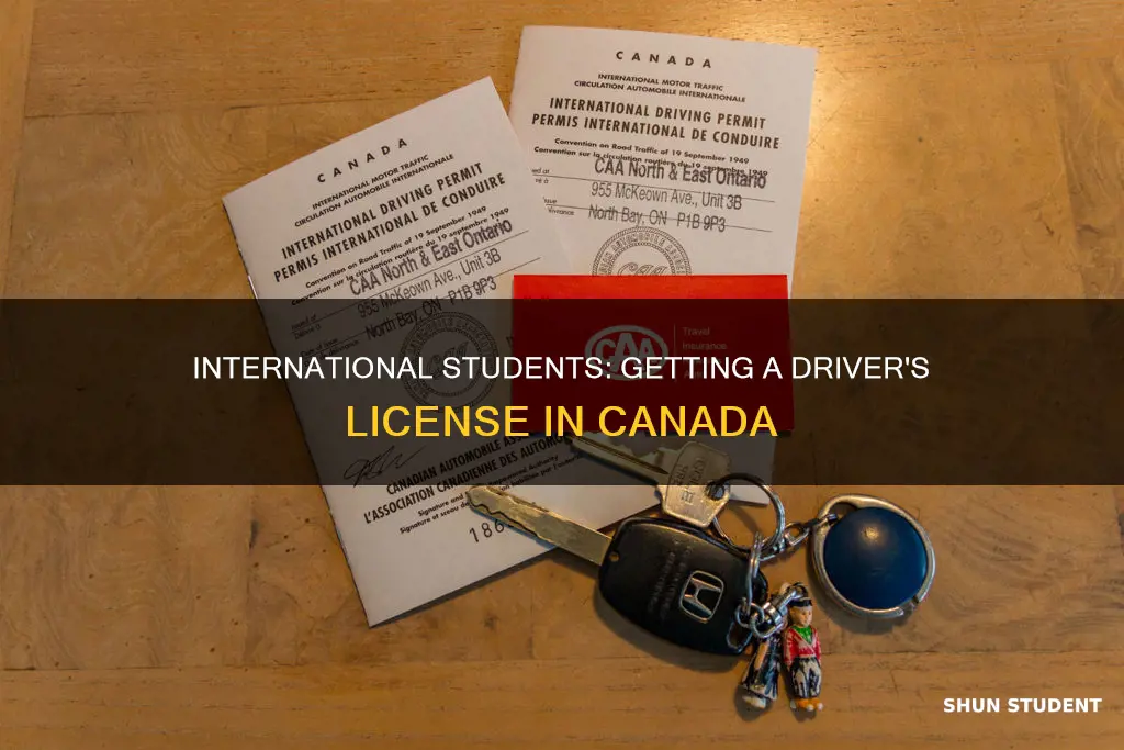 how international student get driver license in canada