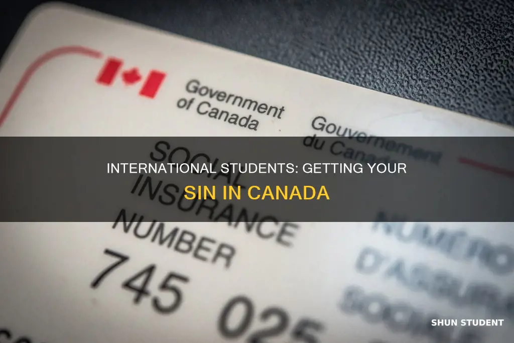 how international student get sin no in canada