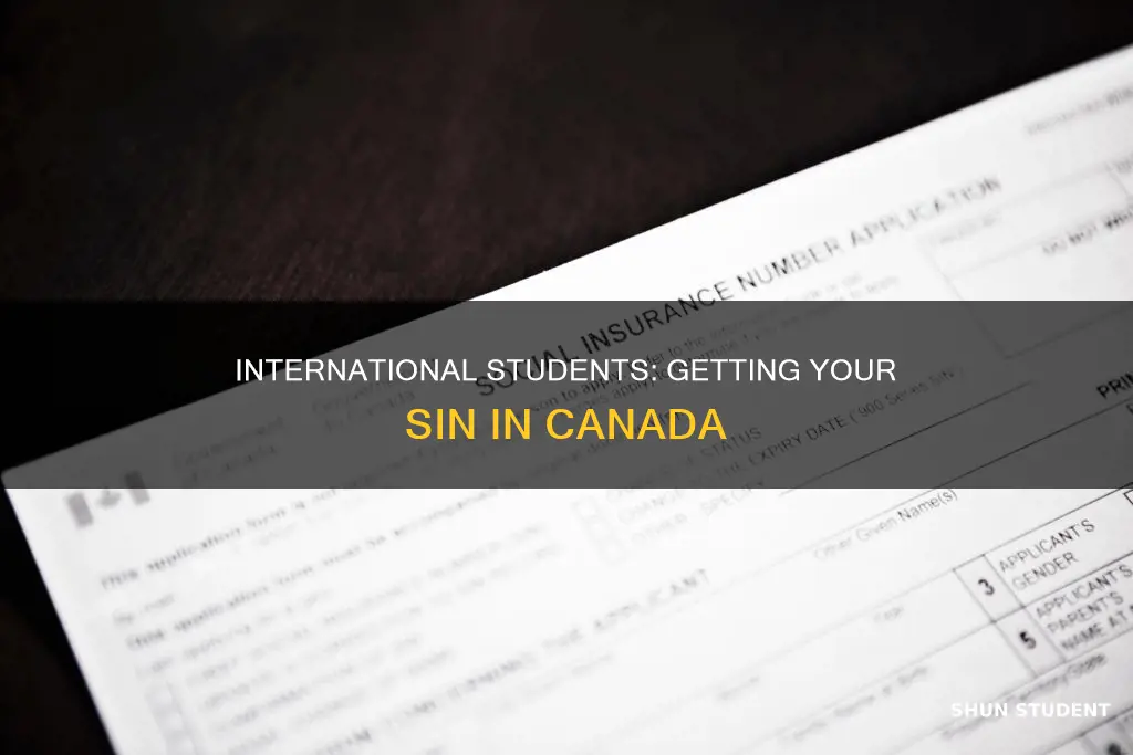 how international student get sin no