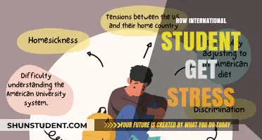 International Student Stress: Navigating a Foreign Education