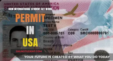 International Students: Work Permits in the USA