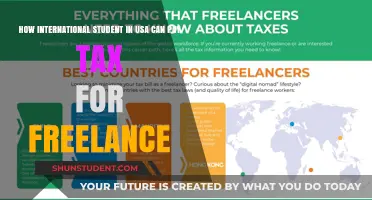A Guide to US Taxes for International Freelancers