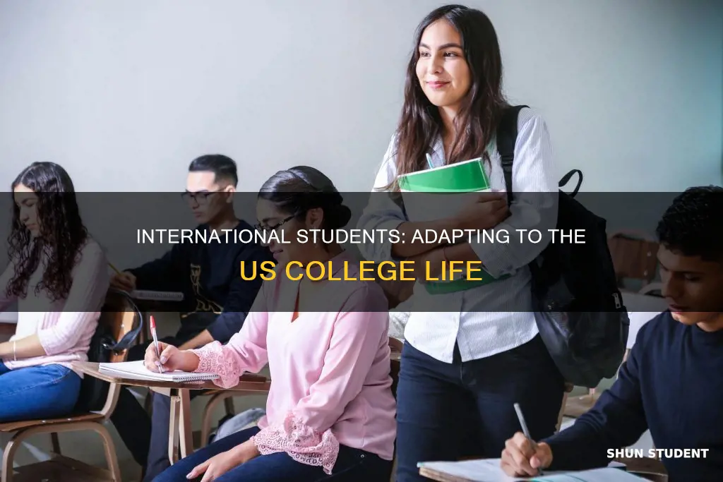 how international students adapt in usa colleges