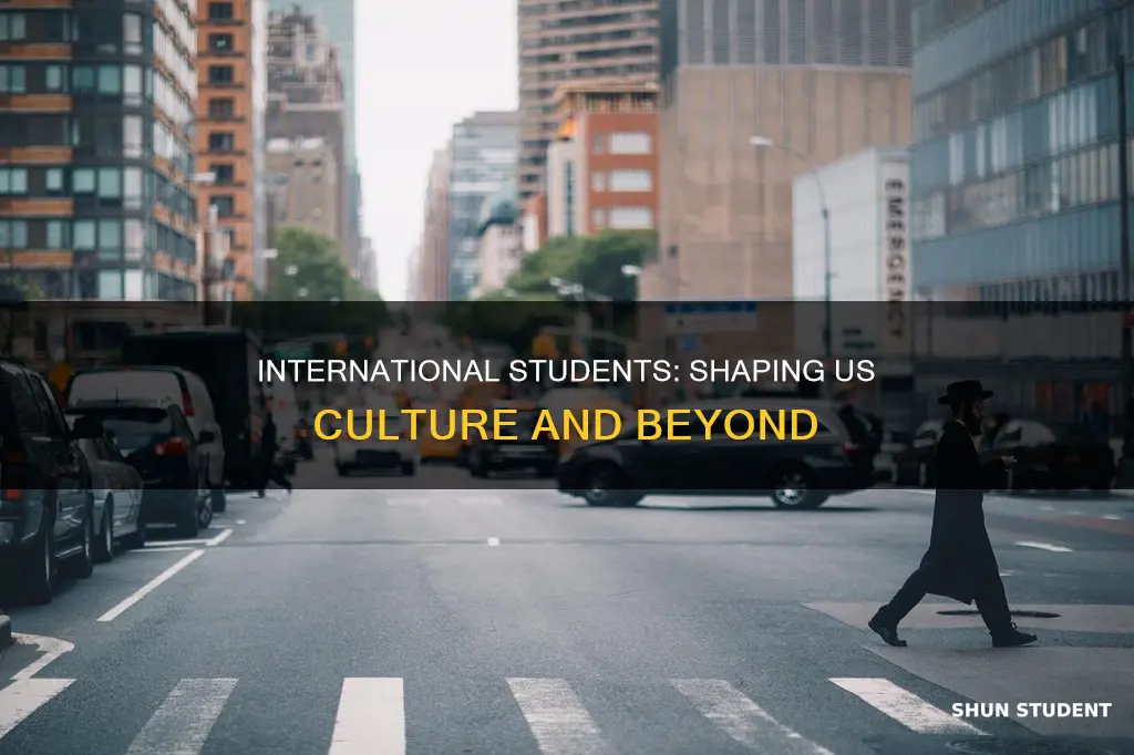 how international students affect us cultural