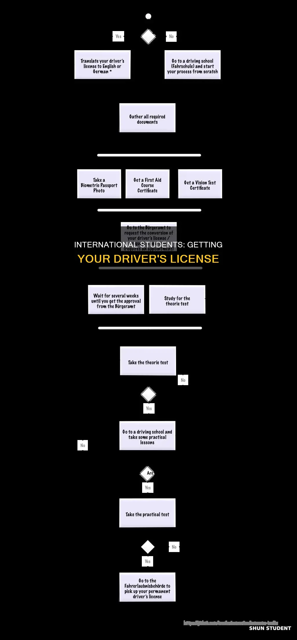 how international students can have a driving test