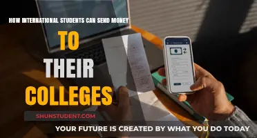 International Students: Sending Money to Colleges Simplified