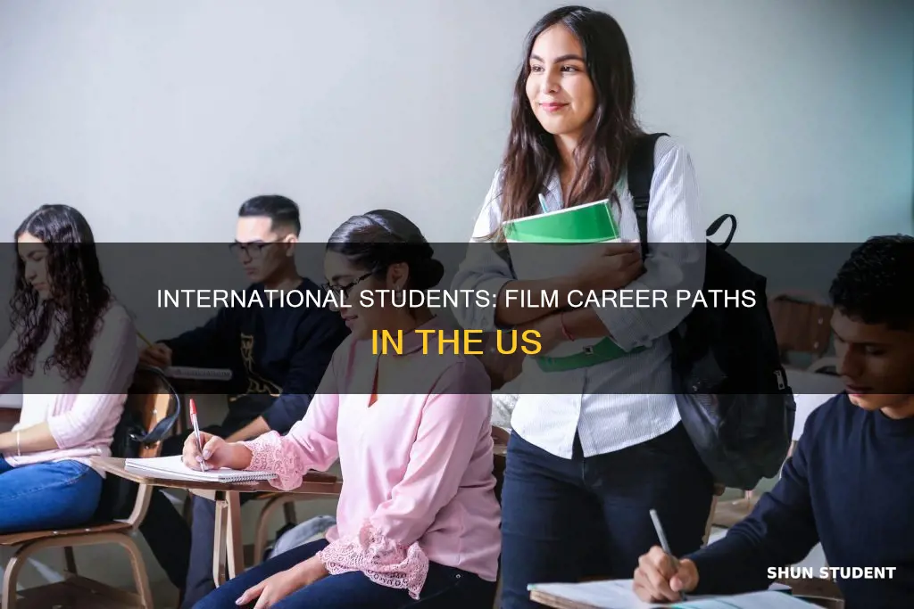 how international students can stay in us in film