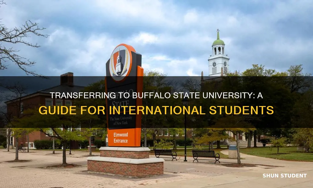 how international students can transfer to buffalo state university