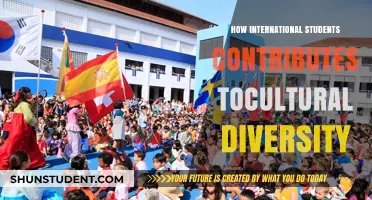 International Students: Cultural Diversity Champions