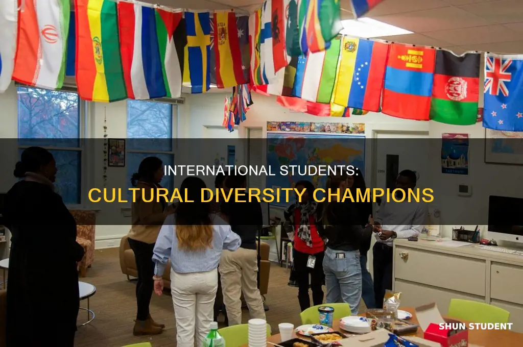 how international students contributes tocultural diversity