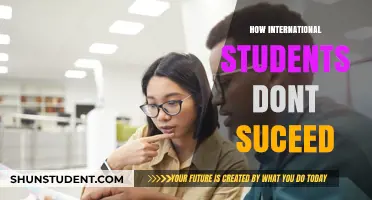 International Students: Overcoming Challenges to Succeed