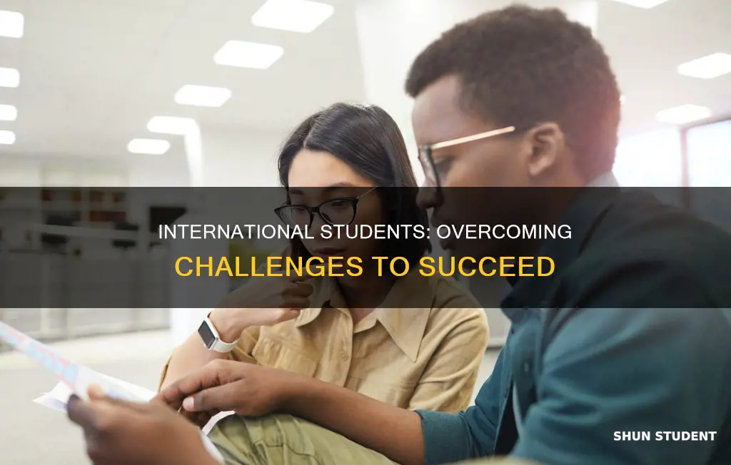 how international students dont suceed