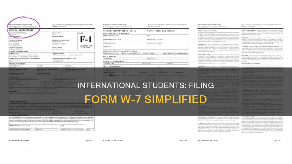 how international students file form w7