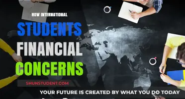 Financial Challenges: International Students' Money Worries
