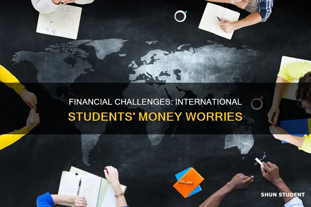 how international students financial concerns