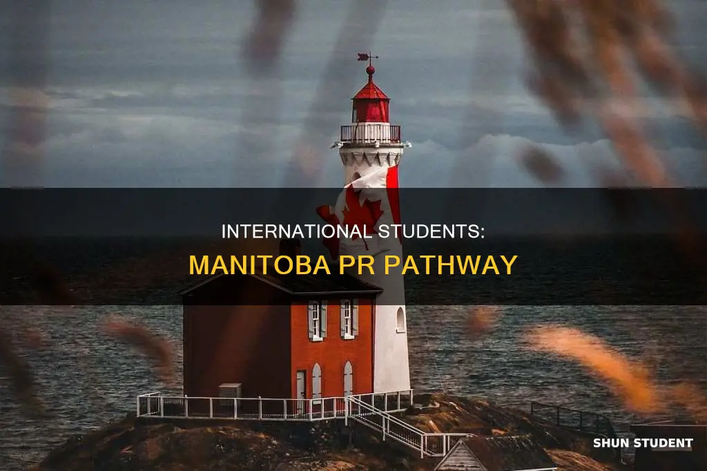 how international students get pr in manitoba
