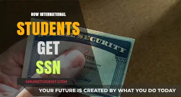 International Students: Getting Your SSN