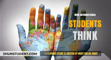 International Students' Mindsets: A Global Perspective