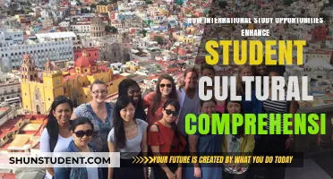 Exploring Cultural Comprehension Through International Study