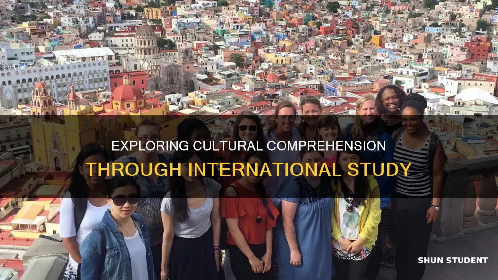 how international study opportunities enhance student cultural comprehension