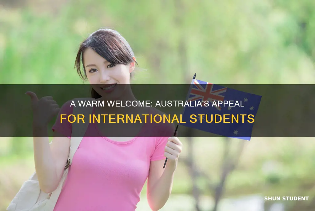 how is australia for international students
