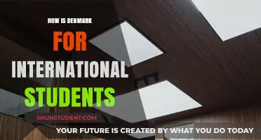 International Students: Denmark's Appeal and Experience