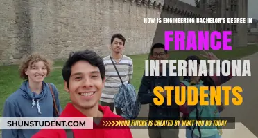 Engineering in France: A Global Student's Guide