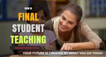 Final Student Teaching: Challenges, Triumphs, and Real-World Classroom Insights