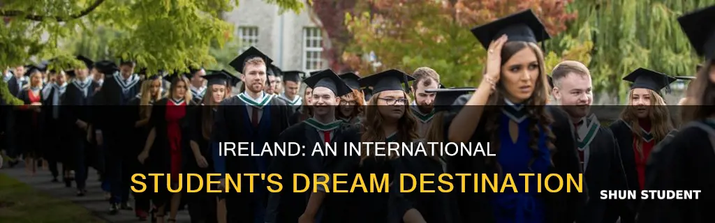 how is ireland for international students