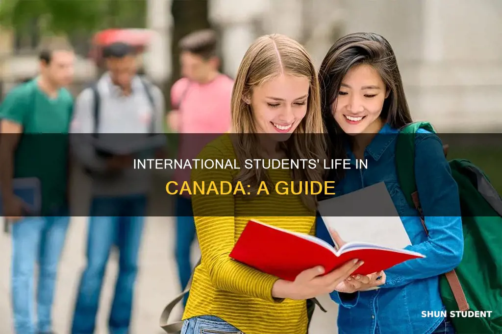 how is life in canada for international students