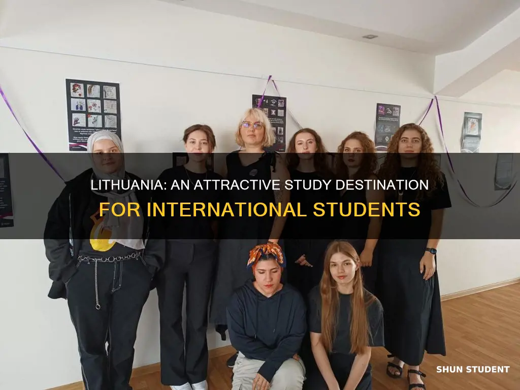 how is lithuania for international students