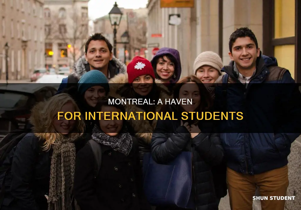 how is montreal for international students