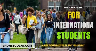International Students: Is the Netherlands a Good Choice?