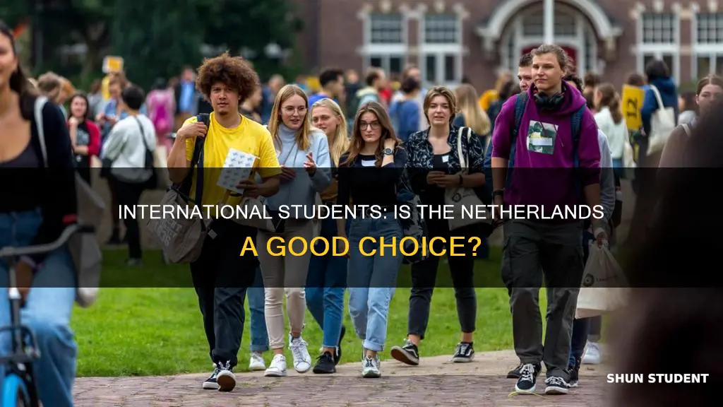 how is netherlands for international students